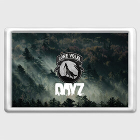 Магнит 45*70 с принтом LONE VOLKI | DAYZ (Z) в городе Новоалтайск, Пластик | Размер: 78*52 мм; Размер печати: 70*45 | apocalypse | arma 2 | dayz | game | survival horror | zombie | апокалипсис | арма | арма 2 | дейзи | зомби | зомби апокалипсисом | игра | мертвецы | симулятор выживания | ходячик мертвецы