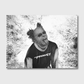 Альбом для рисования с принтом THE PRODIGY | ПРОДИДЖИ (Z) в городе Новоалтайск, 100% бумага
 | матовая бумага, плотность 200 мг. | Тематика изображения на принте: keith charles flint | prodigy | the prodigy | альтернативный дэнс | бигбит | брейкбит | кит флинт | лиам хоулетт | максим реалити | продиги | продиджи | продиди | техно | электроник рок | электропанк