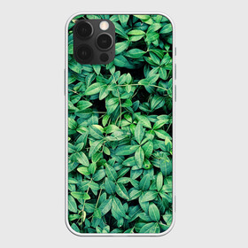 Чехол для iPhone 12 Pro Max с принтом Барвинок  в городе Новоалтайск, Силикон |  | art | ветви. | зелень | листья | натуральное | природа | растение