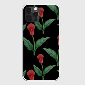 Чехол для iPhone 12 Pro Max с принтом Красные каллы на черном в городе Новоалтайск, Силикон |  | 8 марта | flowers | march 8 | spring | ботаническая иллюстрация | весна | день рождения | зеленый | каллы | красный | лето | любовь | праздник | принт | природа | растения | цветы | черный