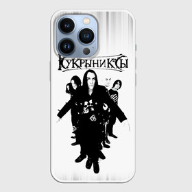 Чехол для iPhone 13 Pro с принтом Группа Кукрыниксы в городе Новоалтайск,  |  | gorshenev | kukryniksy | rock group | алексей горшенёв | альтернативный | вагон | горшенев | горшок | готик | дмитрий оганян | игорь воронов | кукрыниксы | михаил фомин | панк | панкрок | постпанк | рок группа