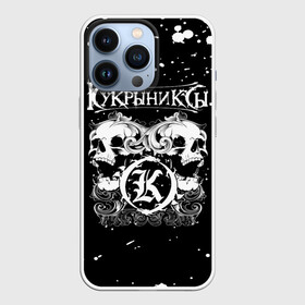 Чехол для iPhone 13 Pro с принтом Кукрыниксы черепа в городе Новоалтайск,  |  | gorshenev | kukryniksy | rock group | алексей горшенёв | альтернативный | вагон | горшенев | горшок | готик | дмитрий оганян | игорь воронов | кукрыниксы | михаил фомин | панк | панкрок | постпанк | рок группа