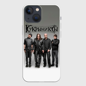 Чехол для iPhone 13 mini с принтом Кукрыниксы рок группа в городе Новоалтайск,  |  | gorshenev | kukryniksy | rock group | алексей горшенёв | альтернативный | вагон | горшенев | горшок | готик | дмитрий оганян | игорь воронов | кукрыниксы | михаил фомин | панк | панкрок | постпанк | рок группа