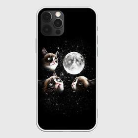 Чехол для iPhone 12 Pro Max с принтом ГРУСТНЫЕ ЛУННЫЕ КОТЫ в городе Новоалтайск, Силикон |  | cat | cosmo | face | memes | night | sky | stars | голова | звезды | интернет | космос | коты | кошки | лицо | луна | мем | ночь | отражение | прикол | рисунок