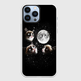 Чехол для iPhone 13 Pro Max с принтом ГРУСТНЫЕ ЛУННЫЕ КОТЫ в городе Новоалтайск,  |  | Тематика изображения на принте: cat | cosmo | face | memes | night | sky | stars | голова | звезды | интернет | космос | коты | кошки | лицо | луна | мем | ночь | отражение | прикол | рисунок
