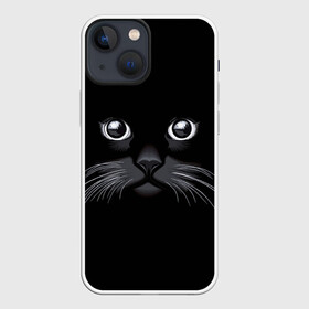 Чехол для iPhone 13 mini с принтом Кот Журбей в городе Новоалтайск,  |  | большие глаза | голова кота | милота. | мордочка | настроение | позитив | усики | черный