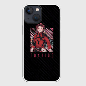 Чехол для iPhone 13 mini с принтом Танджиро Камадо в городе Новоалтайск,  |  | demon slayer | kimetsu no aiba | tanjiro | камадо | клинок | рассекающий демонов | танджиро