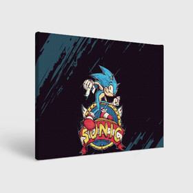 Холст прямоугольный с принтом SONIC | СОНИК (Z) в городе Новоалтайск, 100% ПВХ |  | blaze the cat | hedgehog | sega | silver | sonic | speed sonic | быстрый ёж | ёж соник | кошка блейз | метал соник | сега | сильвер | синий ёж | соник