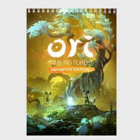 Скетчбук с принтом Ori and the Will of the Wisps в городе Новоалтайск, 100% бумага
 | 48 листов, плотность листов — 100 г/м2, плотность картонной обложки — 250 г/м2. Листы скреплены сверху удобной пружинной спиралью | Тематика изображения на принте: adventure | forest spirit | night | ori | ori and the will of the wisps | pc game | shimmer | tree | дерево | дух леса | компьютерная игра | мерцание | ночь | ори | ори и блуждающие огоньки | приключения