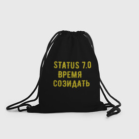 Рюкзак-мешок 3D с принтом Моя коллекция Status 3 в городе Новоалтайск, 100% полиэстер | плотность ткани — 200 г/м2, размер — 35 х 45 см; лямки — толстые шнурки, застежка на шнуровке, без карманов и подкладки | время созидать | добрые дела | настояший человек | реальные люди