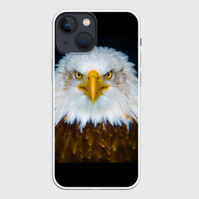 Чехол для iPhone 13 mini с принтом Белоголовый орлан в городе Новоалтайск,  |  | грозный | красивый | опасный | орлан | пернатый | птица | хищный