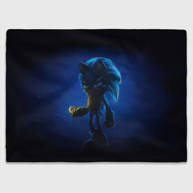 Плед 3D с принтом SONIC | СОНИК (Z) в городе Новоалтайск, 100% полиэстер | закругленные углы, все края обработаны. Ткань не мнется и не растягивается | blaze the cat | hedgehog | sega | silver | sonic | speed sonic | быстрый ёж | ёж соник | метал соник | сега | сильвер | синий ёж | соник
