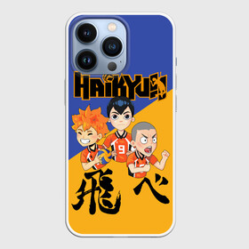 Чехол для iPhone 13 Pro с принтом Хайку | Haikyu | Волейбол (Z) в городе Новоалтайск,  |  | haikuu | haikyu | haikyuu | волейбол | спортивная манга | хайку | хайкю
