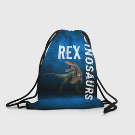 Рюкзак-мешок 3D с принтом Dinosaurs Rex 3D в городе Новоалтайск, 100% полиэстер | плотность ткани — 200 г/м2, размер — 35 х 45 см; лямки — толстые шнурки, застежка на шнуровке, без карманов и подкладки | Тематика изображения на принте: dinosaurs rex | tyrannosaurus | динозавры | принт с динозавром | рекс | тиранозавр | топ | тренд