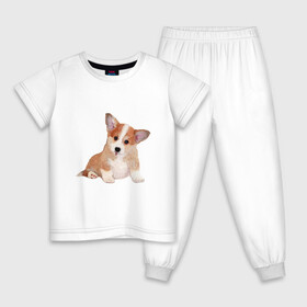 Детская пижама хлопок с принтом Fluffy Corgi в городе Новоалтайск, 100% хлопок |  брюки и футболка прямого кроя, без карманов, на брюках мягкая резинка на поясе и по низу штанин
 | corgi | dog | fluffy | puppy | корги | милый | пушистый | собака | щенок