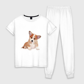 Женская пижама хлопок с принтом Fluffy Corgi в городе Новоалтайск, 100% хлопок | брюки и футболка прямого кроя, без карманов, на брюках мягкая резинка на поясе и по низу штанин | corgi | dog | fluffy | puppy | корги | милый | пушистый | собака | щенок