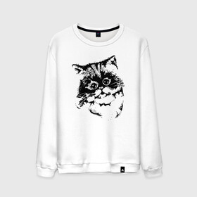 Мужской свитшот хлопок с принтом Котенок в городе Новоалтайск, 100% хлопок |  | cat | cat art | животные | звери | кот | котенок | котик | коты | кошка | черно белый