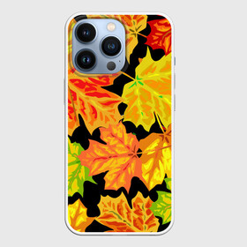 Чехол для iPhone 13 Pro с принтом LEAF FALL   AUTUMN в городе Новоалтайск,  |  | autumn | fall | акварель | листопад | опавшие листья | цвеные листья | цвет