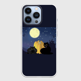 Чехол для iPhone 13 Pro с принтом Котострашилка в городе Новоалтайск,  |  | Тематика изображения на принте: halloween | helloween | ведьма | котики | мистика | мистический дом | ночь | страшно | тыква | хеллоуин | хэллоуин