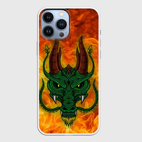 Чехол для iPhone 13 Pro Max с принтом Японский дракон | Japanese Dragon в городе Новоалтайск,  |  | dragon | fire | japanese dragon | monster | драго | дракон | монстр | огнедыщащий | огонь | прикольная картинка | чудовище | японский дракон | ящерица