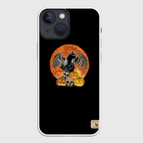 Чехол для iPhone 13 mini с принтом Хэллоуинская кошка в городе Новоалтайск,  |  | halloween | salem | spooky | ведьма | день всех святых | кот | кошка | салем | тыква | ужас | хеллоувин | хеллоуин | хэллоуин | череп | черепа