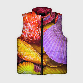 Женский жилет утепленный 3D с принтом Разноцветные ракушки  multicolored seashells в городе Новоалтайск,  |  | holiday | multicolored seashells | sea | sea house | summer | лагуна | лето | моллюск | море | морская тема | морские обитатели | морские ракушки | морской пляж | океан | отпуск | перламутр | пляж | подводный мир