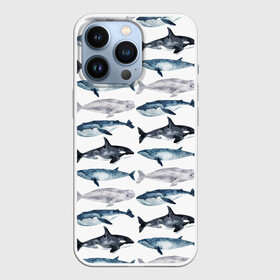 Чехол для iPhone 13 Pro с принтом принт с китами в городе Новоалтайск,  |  | ocean | sea | киты | море | морской принт | морской фон | океан | паттерн | рыбы | текстуры