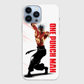 Чехол для iPhone 13 Pro Max с принтом Гароу из One Punch Man в городе Новоалтайск,  |  | garo | garow | ningen kaijin | one punch man | one punchman | onepunchman | tareo | urufuman | wolfman | аниме | бэнг | ван панч мен | ванпанчмен | гаро | гароу | манга | монстр | охотник на героев | человек одинудар | человек одного удара