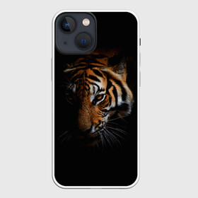 Чехол для iPhone 13 mini с принтом Год тигра. Голова в городе Новоалтайск,  |  | год тигра | животное | кошачьи | тигр | хищник