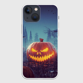 Чехол для iPhone 13 mini с принтом НОЧЬ ХЕЛОЛОУИНА в городе Новоалтайск,  |  | арт | монстр | монстры | ночь | огонь | праздник | свет | тыква | ужас | хеллоуин