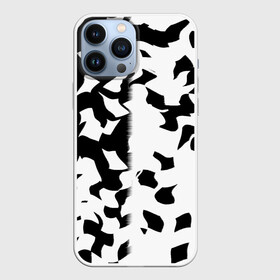 Чехол для iPhone 13 Pro Max с принтом черно белый камуфляж в городе Новоалтайск,  |  | белый | камуфляж | листва | разложение | черный