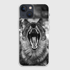 Чехол для iPhone 13 mini с принтом Волчья пасть, зевает в городе Новоалтайск,  |  | Тематика изображения на принте: wolf | wolfs | волк | волка | волки | волчара | волчья | животные | звери | зевает | лес | оскал | пасть | природа