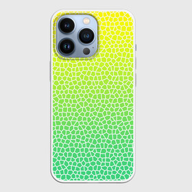Чехол для iPhone 13 Pro с принтом Витражная мозаика в городе Новоалтайск,  |  | витраж | градиент | зеленое стекло | зеленый | зеленый радуга | зеленый сети | лимон | мозаика | радуга | светло зеленый | соты | яркий