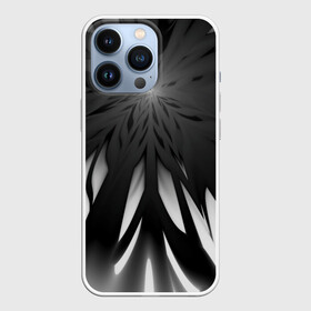 Чехол для iPhone 13 Pro с принтом Абстракция 353 3 в городе Новоалтайск,  |  | Тематика изображения на принте: абстрактный | абстракция | белый | звезда | линии | лучи | монохромный | сияние | фрактал | черно белый | черный