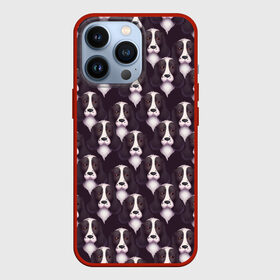 Чехол для iPhone 13 Pro с принтом Спаниель (Spaniel) в городе Новоалтайск,  |  | Тематика изображения на принте: cocker spaniel | dog spaniel | k | английский спаниель | год собаки | друг человека | животное | зверь | кавалер спаниель | кинг чарльз спаниель | кинолог | кокер спаниель | охотничья собака | пёс