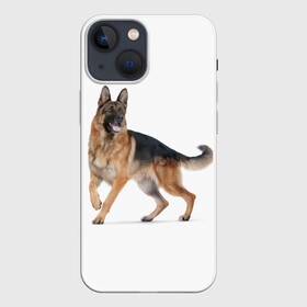 Чехол для iPhone 13 mini с принтом немчики в городе Новоалтайск,  |  | Тематика изображения на принте: german shepherd | немец | немецкая овчарка | служебник | собака