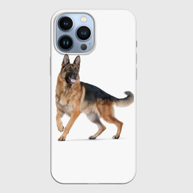 Чехол для iPhone 13 Pro Max с принтом немчики в городе Новоалтайск,  |  | Тематика изображения на принте: german shepherd | немец | немецкая овчарка | служебник | собака