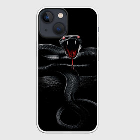 Чехол для iPhone 13 mini с принтом ЗМЕЯ НА КАМНЕ  НА ЧЕРНОМ ФОНЕ в городе Новоалтайск,  |  | камень | клыки | кобра | нападение | укус | хищник | яд