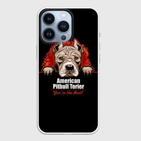 Чехол для iPhone 13 Pro с принтом Американский Питбультерьер (Pit Bull) в городе Новоалтайск,  |  | Тематика изображения на принте: american pit bull terrier | boxer | bulldog | fighting dog | pit bull | американский питбультерьер | бойцовская собака | бойцовский пес | боксер | бульдог | волкодав | друг человека | кинолог | пес | питбуль | питбультерьер