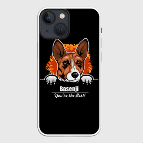 Чехол для iPhone 13 mini с принтом Басенджи (Basenji) в городе Новоалтайск,  |  | Тематика изображения на принте: african dog | animal | basenji | congo terrier | dog | африканская собака | басенджи | год собаки | друг человека | животное | зверь | кинолог | конго терьер | пёс | собака басенджи | собаковод | четвероногий
