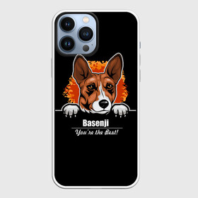 Чехол для iPhone 13 Pro Max с принтом Басенджи (Basenji) в городе Новоалтайск,  |  | african dog | animal | basenji | congo terrier | dog | африканская собака | басенджи | год собаки | друг человека | животное | зверь | кинолог | конго терьер | пёс | собака басенджи | собаковод | четвероногий