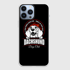 Чехол для iPhone 13 Pro Max с принтом Такса (Dachshund) в городе Новоалтайск,  |  | animal | dachshund | dog | hunting dog | год собаки | друг человека | животное | кинолог | охотничья собака | пёс | порода собак | собака такса | собаковод | такса | четвероногий | щенок таксы