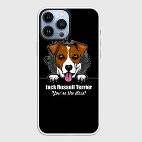 Чехол для iPhone 13 Pro Max с принтом Джек Рассел Терьер (Jack Russell Terrier) в городе Новоалтайск,  |  | Тематика изображения на принте: animal | dog terrier | jack russell terrier | год собаки | джек рассел терьер | друг человека | животное | зверь | кинолог | охотничья собака | пёс | пёсик | собака джек рассел терьер | собаковод | терьер