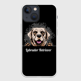 Чехол для iPhone 13 mini с принтом Лабрадор Ретривер (Labrador Retriever) в городе Новоалтайск,  |  | Тематика изображения на принте: animal | dog | hunting dog | labrador | labrador retriever | год собаки | друг человека | животное | зверь | кинолог | лабрадор | лабрадор ретривер | охотничья собака | пес | порода собак | ретривер | собака лабрадор