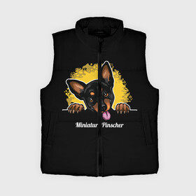 Женский жилет утепленный 3D с принтом Пинчер (Miniature Pinscher) в городе Новоалтайск,  |  | animal | dog | german pinscher | min pi | miniature pinscher | pinscher | год собаки | друг человека | животное | зверь | кинолог | мин пин | миниатюрный пинчер | немецкий пинчер | пёс | пинчер | порода собак | собака