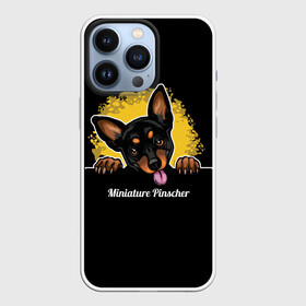 Чехол для iPhone 13 Pro с принтом Пинчер (Miniature Pinscher) в городе Новоалтайск,  |  | animal | dog | german pinscher | min pi | miniature pinscher | pinscher | год собаки | друг человека | животное | зверь | кинолог | мин пин | миниатюрный пинчер | немецкий пинчер | пёс | пинчер | порода собак | собака