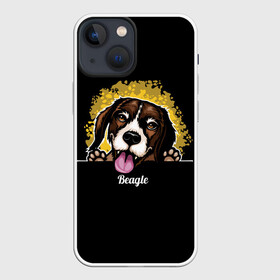 Чехол для iPhone 13 mini с принтом Бигль (Beagle) в городе Новоалтайск,  |  | animal | beagle | dog | hunting dog | бигль | год собаки | гончая собака | друг человека | животное | зверь | кинолог | охотничья собака | пес | порода собак | собака бигль | собаковод | собачка | хищник