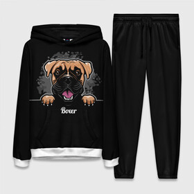 Женский костюм 3D (с толстовкой) с принтом Боксёр (Boxer) в городе Новоалтайск,  |  | animal | boxer | bulldog | dog | fighting dog | pit bull | бойцовская собака | боксёр | бульдог | год собаки | друг человека | животное | кинолог | немецкий боксёр | пёс | питбуль | порода собак | собака боксёр | собаковод