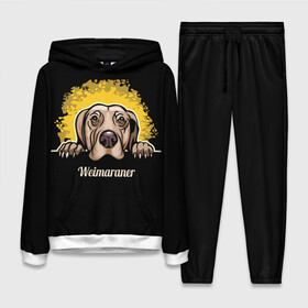 Женский костюм 3D (с толстовкой) с принтом Веймаранер (Weimaraner) в городе Новоалтайск,  |  | animal | dog | hunting dog | weimaraner | веймаранер | веймарская овчарка | год собаки | друг человека | животное | зверь | кинолог | легавая | охотничья собака | пёс | порода собак | собака | собака веймаранер