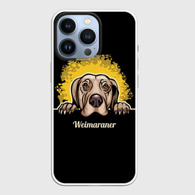 Чехол для iPhone 13 Pro с принтом Веймаранер (Weimaraner) в городе Новоалтайск,  |  | animal | dog | hunting dog | weimaraner | веймаранер | веймарская овчарка | год собаки | друг человека | животное | зверь | кинолог | легавая | охотничья собака | пёс | порода собак | собака | собака веймаранер